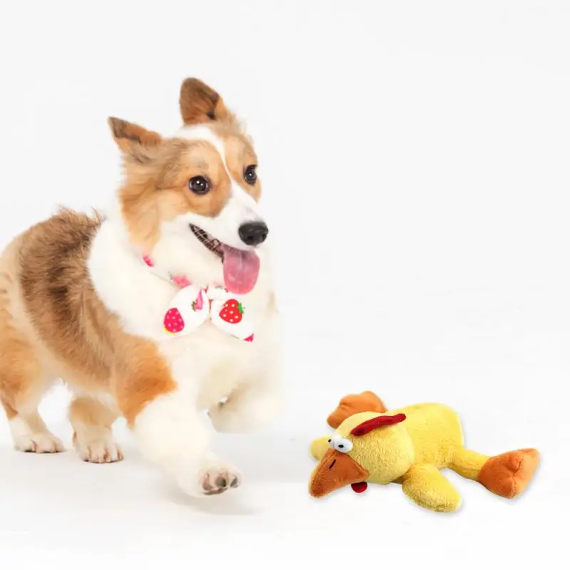 1pc Pliušinis Piskliwy Kaulų Šuo Žaislų Bitė-Atsparus Švarus Šuo Kramtyti Mažylis Mokymo Žaislas Minkštas Naminių Gyvūnų Reikmenys, Reikmenys