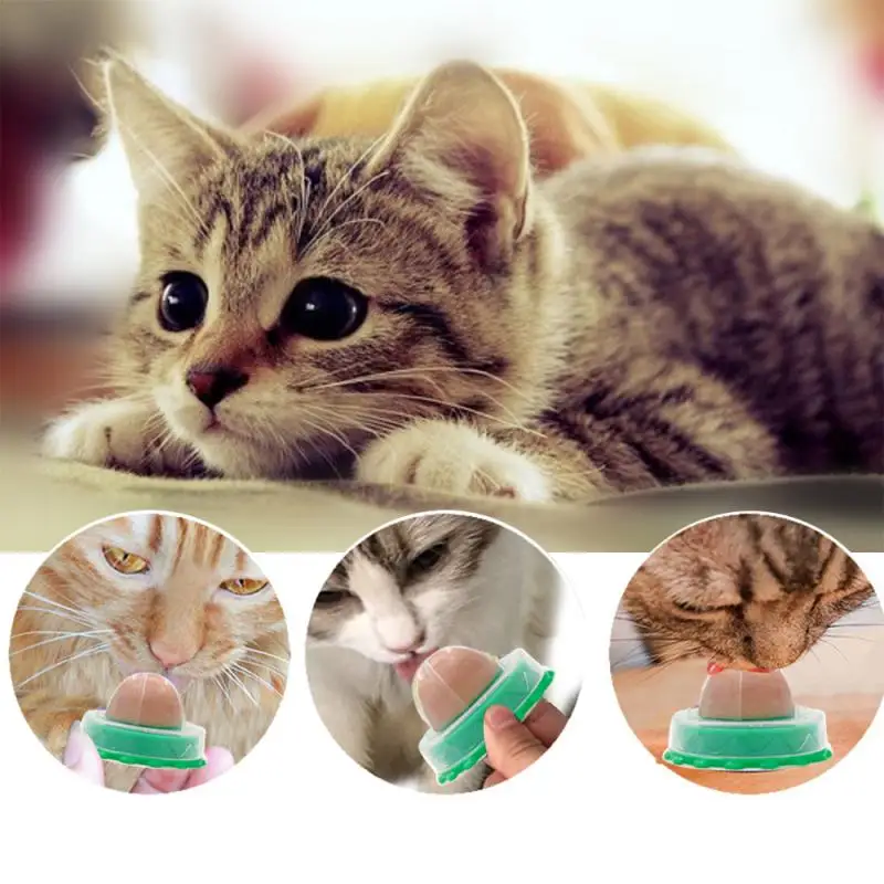 Sveikos Kačių Užkandžių Katžolių Cukraus Saldainiai Lyžis Mitybos Gelio Energijos Kamuolys Žaislas Katėms Kačiukai Padidinti Geriamojo Vandens Padėti Įrankiai