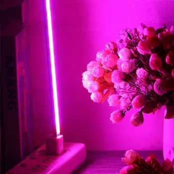 Auginimo Lempos 2020 Patalpų Šiltnamio efektą sukeliančių USB LED Augalų Auga Šviesos Stalas Augalų Augimo Lempos Nešiojamų Augalų Augimo Lempa Vazoninių Augalų