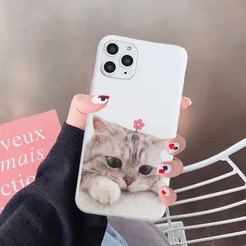 Katė juokingas mielas gyvūnų meno modelio aukštos kokybės, prabangos, Telefono dėklas Saldainiai Spalvos iPhone 6 7 8 11 12-os mini pro X XS XR MAX Plus