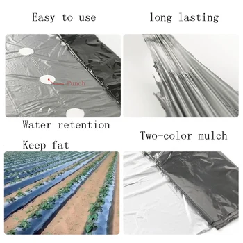 Sode Filmas Žemės Ūkio Daržovių Juoda Plėvele Augalai Plastiko Perforuotas Plastikinis Mulčias Mulčiavimas Membrana