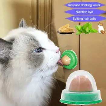 Sveikos Kačių Užkandžių Katžolių Cukraus Saldainiai Lyžis Mitybos Gelio Energijos Kamuolys Žaislas Katėms Kačiukai Padidinti Geriamojo Vandens Padėti Įrankiai