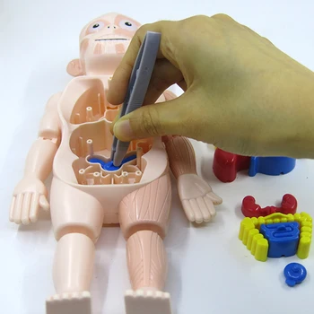 Vaikas Montessori 3D Dėlionė Žmogaus Kūno Anatomijos Modelis Mokymosi Organų Surinkti Žaislas Vaikams, Įstaiga, Organas Mokymo Priemonė